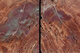 Tall Arizona Petrified Wood Bookends - Red and Purple #382171-1